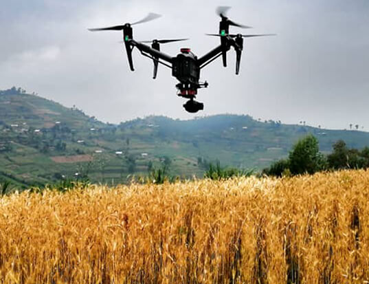Agriculture & Food